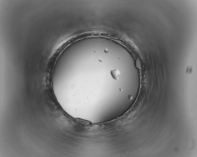 X0000089931352200707201831