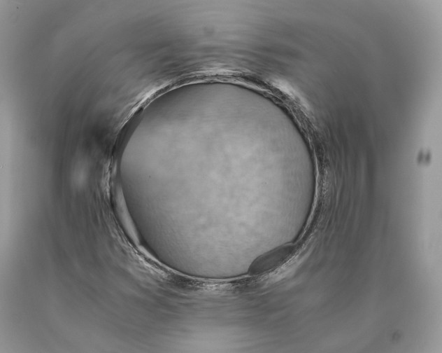 X0000089931353200707201831