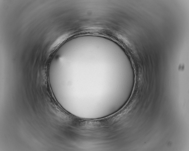 X0000089931354200707201831