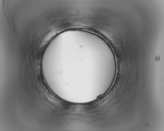 X0000089931355200707201831