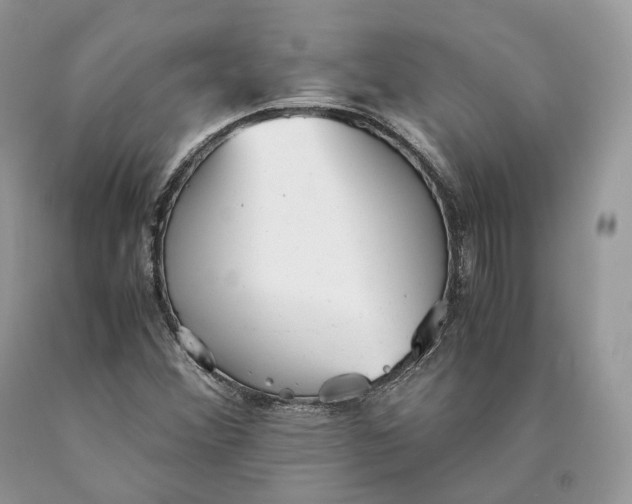 X0000089931356200707201831