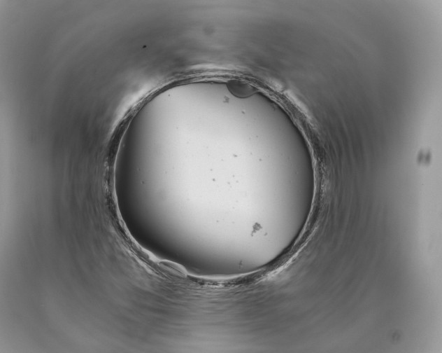 X0000089931357200707201831