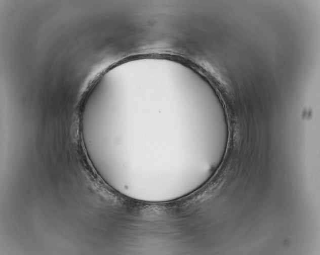 X0000089931358200707201831