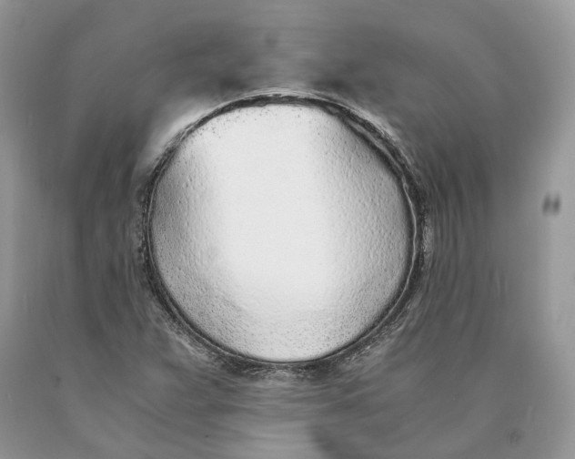 X0000089931359200707201831