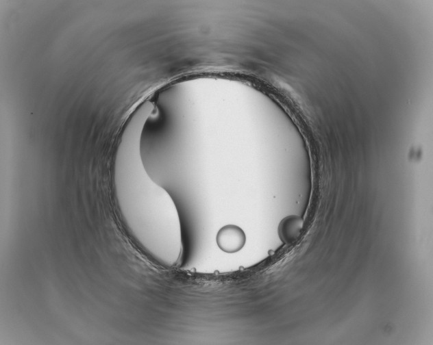 X0000089931361200707201831