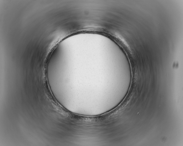 X0000089931362200707201831