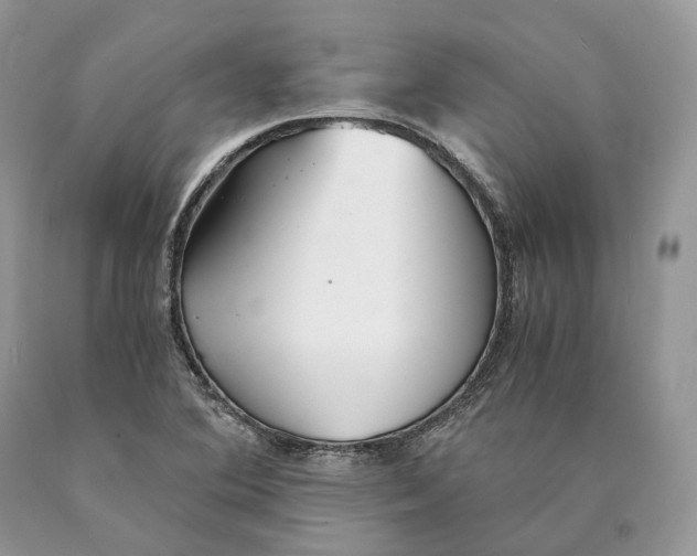 X0000089931364200707201831