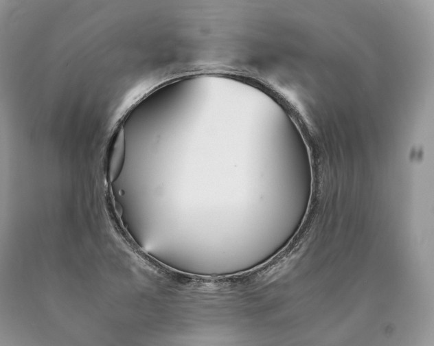 X0000089931365200707201831