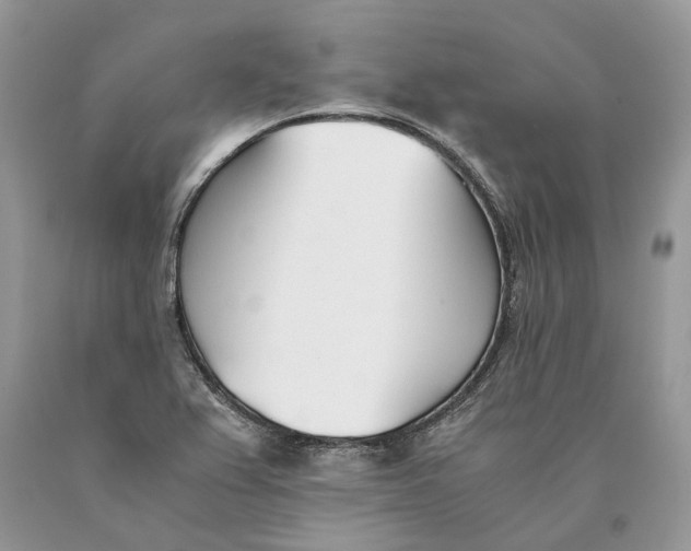 X0000089931367200707201831