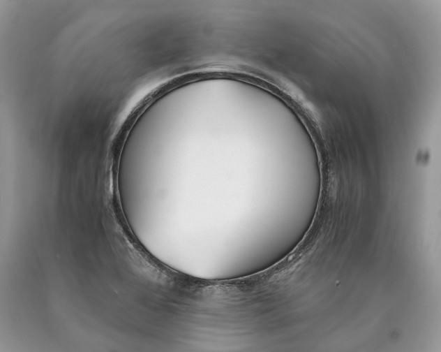 X0000089931368200707201831