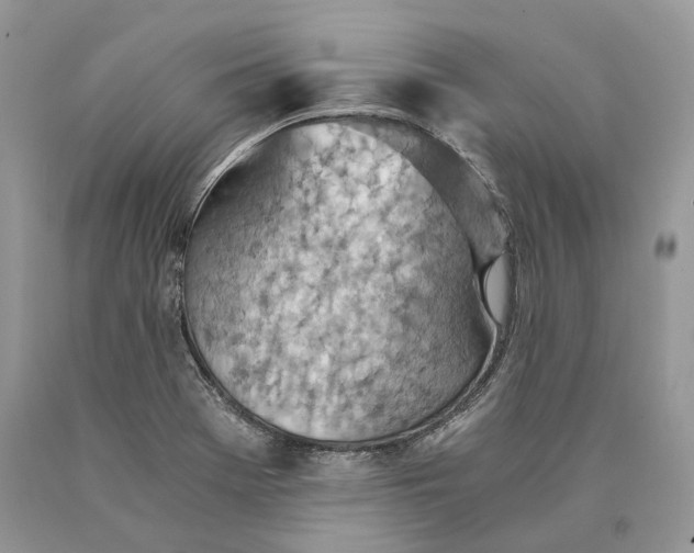 X0000089931369200707201831