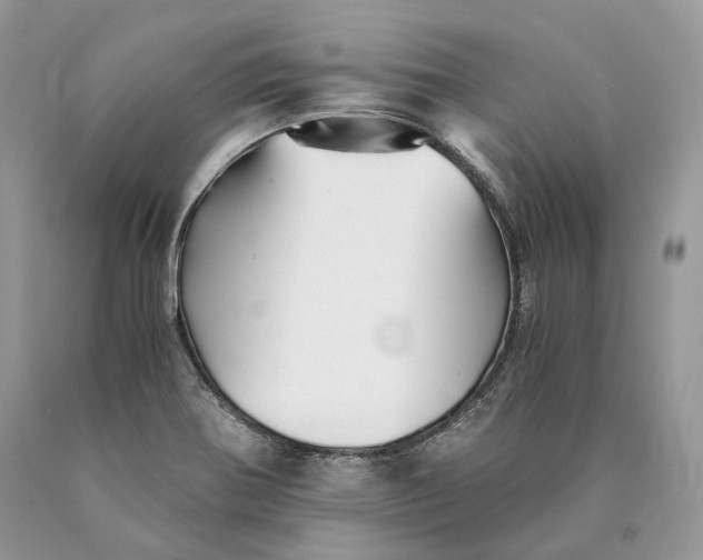 X0000089931370200707201831