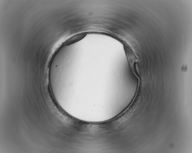 X0000089931371200707201831