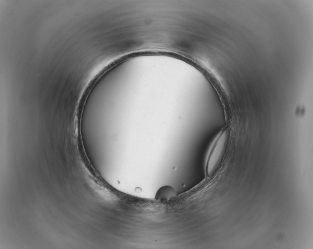 X0000089931372200707201831