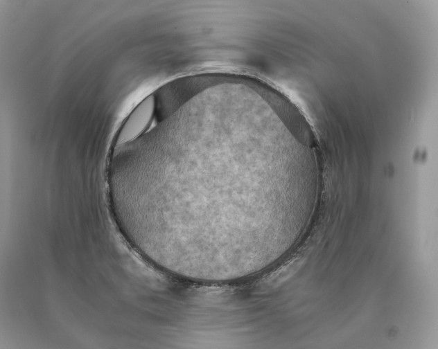 X0000089931373200707201831