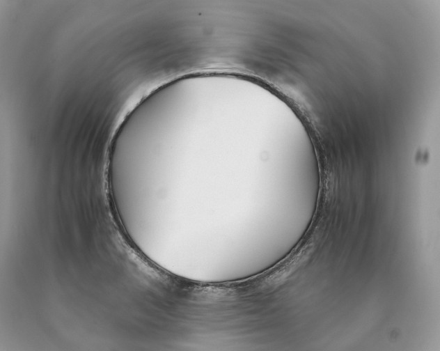 X0000089931374200707201831