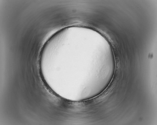 X0000089931375200707201831