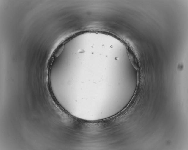 X0000089931376200707201831