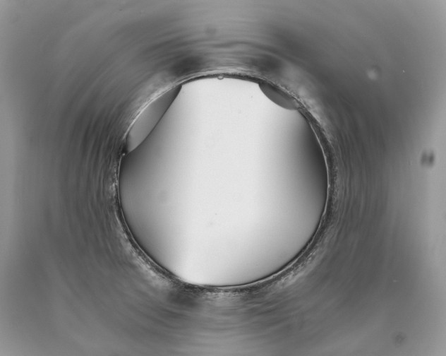 X0000089931377200707201831