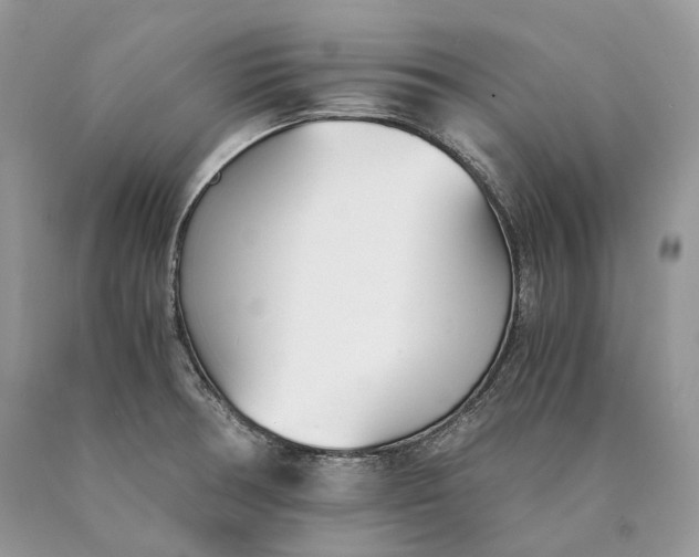 X0000089931378200707201831