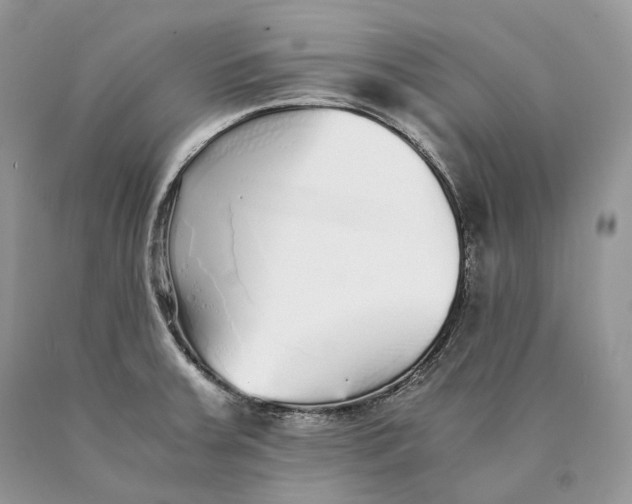 X0000089931379200707201831