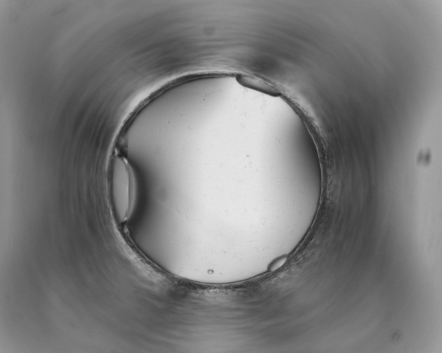 X0000089931380200707201831