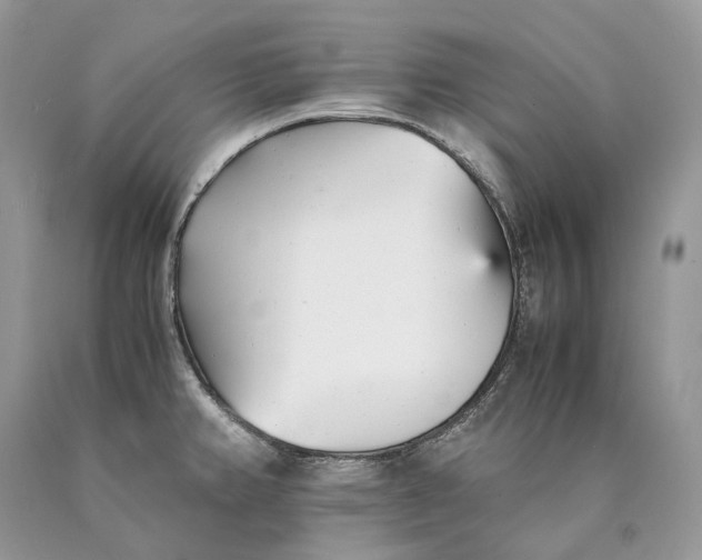 X0000089931382200707201831