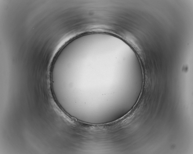 X0000089931384200707201831