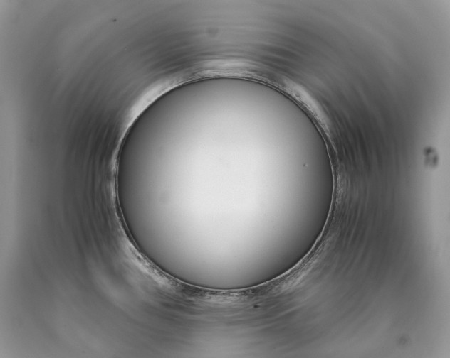 X0000089931386200707201830