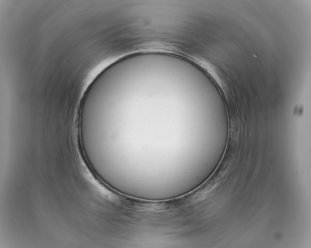 X0000089931387200707201830