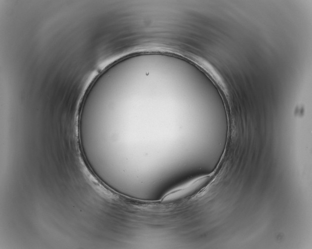 X0000089931388200707201830