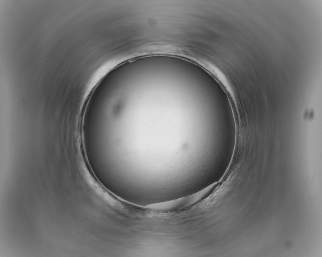 X0000089931389200707201830