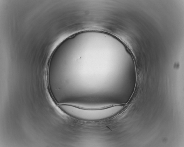 X0000089931391200707201830