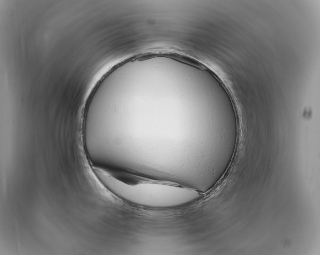 X0000089931392200707201830