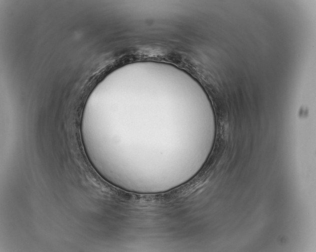 X0000089931393200707201830