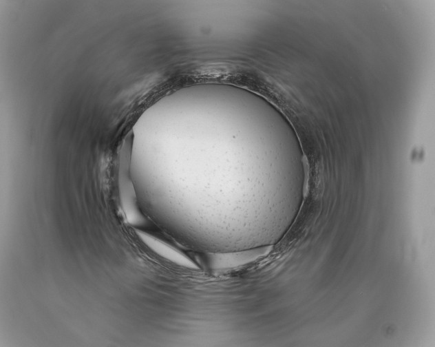 X0000089931394200707201830