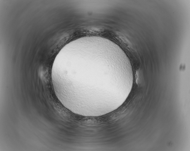 X0000089931395200707201830