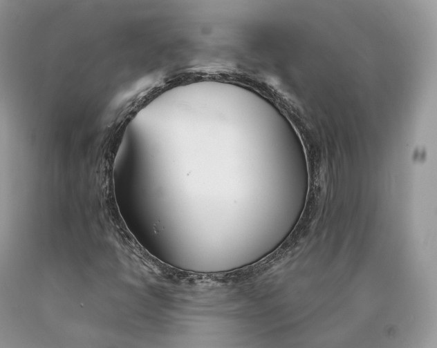 X0000089931398200707201830