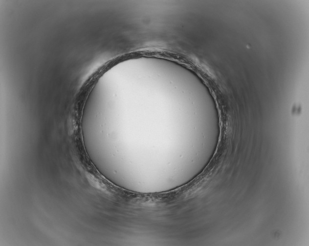 X0000089931400200707201830