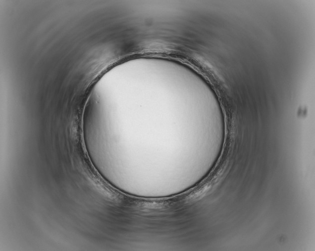 X0000089931401200707201830