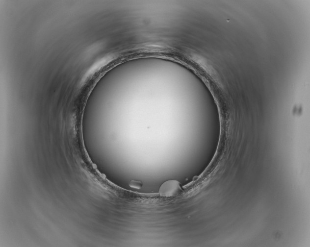 X0000089931402200707201830