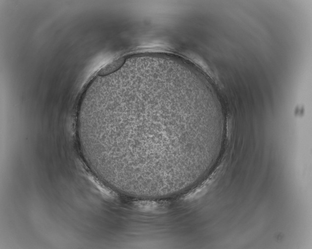 X0000089931405200707201830