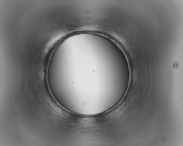 X0000089931406200707201830