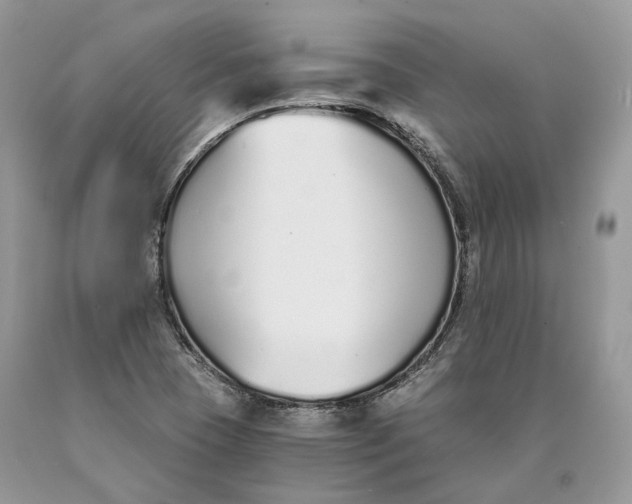 X0000089931409200707201830