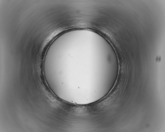 X0000089931410200707201830