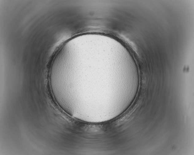 X0000089931411200707201830