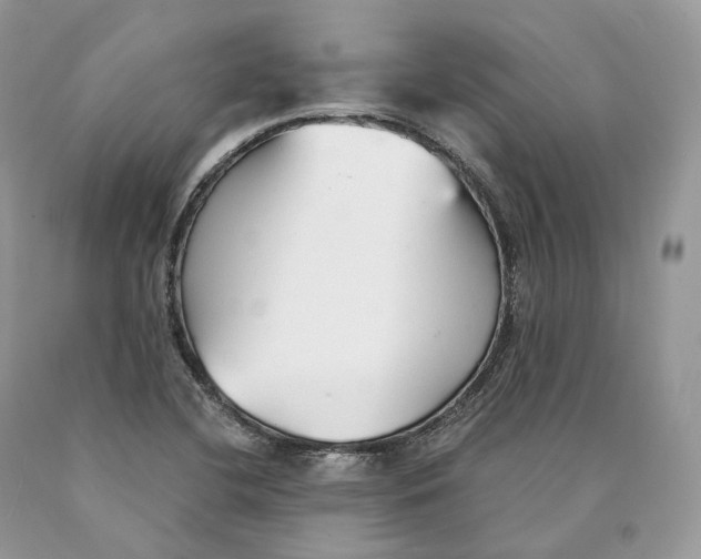 X0000089931412200707201830