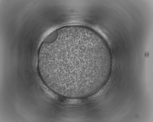 X0000089931413200707201830