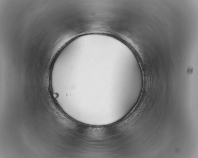 X0000089931415200707201830