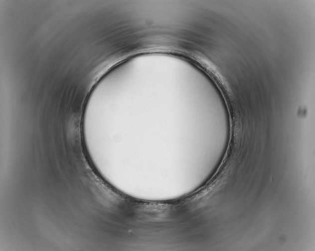 X0000089931417200707201830